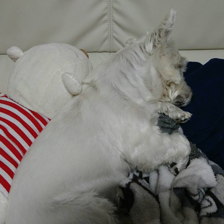 3bb20e0a 1c78 41fa b041 034e5682fd59