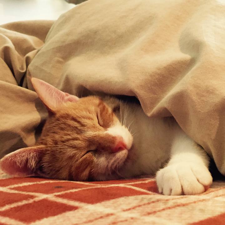 3bb23dfa a6f6 4bbf 8253 09126605067a