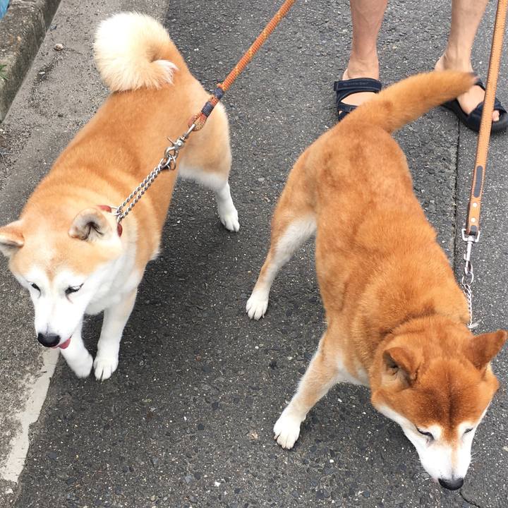 3bb2a437 047a 4bc5 aea4 88be09e36c82