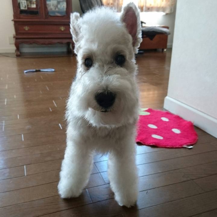 3bb34a78 4a9f 4da9 a305 4db0c70678c6