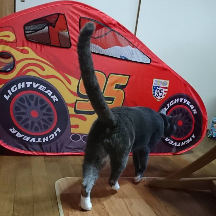 3bb41f4e db69 4a81 b96c b75ab909d4e0