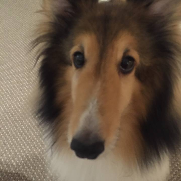 3bb42eac e579 4ef1 9244 8d0a1c9a5633