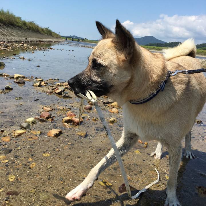 3bb46f86 040a 40a0 b61b 9950f95ac894