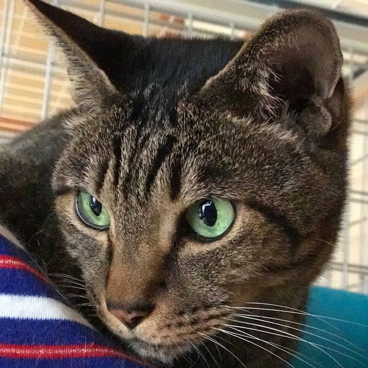 3bb57f1e b94b 4ddb 8f24 9efa73c249a4