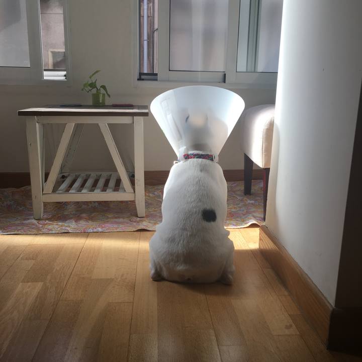 3bb5800c abc9 410e 989a a5d5c38bd4f5