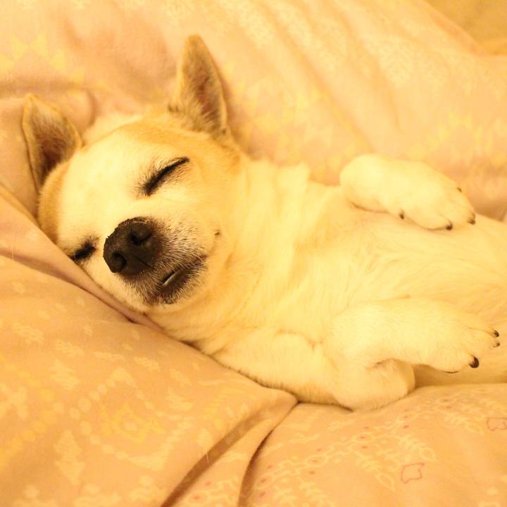 3bb5f2f2 f54c 4803 91d2 7e38cb3ca36b