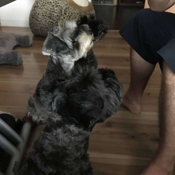 3bb62902 514a 42dd 941b 89df05467b7e