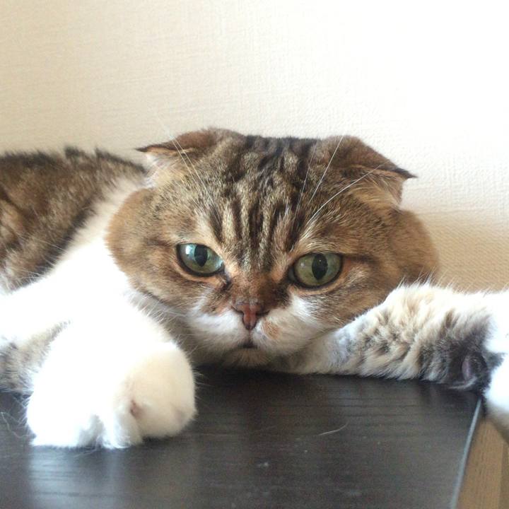 3bb62a8a 6a5c 4e99 9b1e d3344a0fd79d