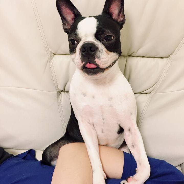 3bb7af33 d5e1 4a31 8024 629996e15c36