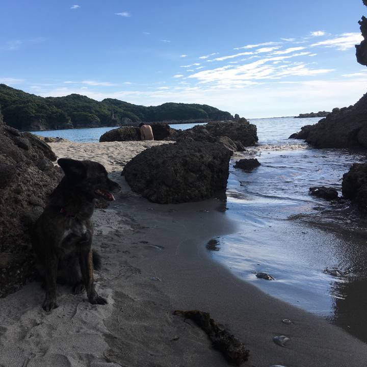 3bb8198b bf7a 4faf 8363 cabae059b2c0