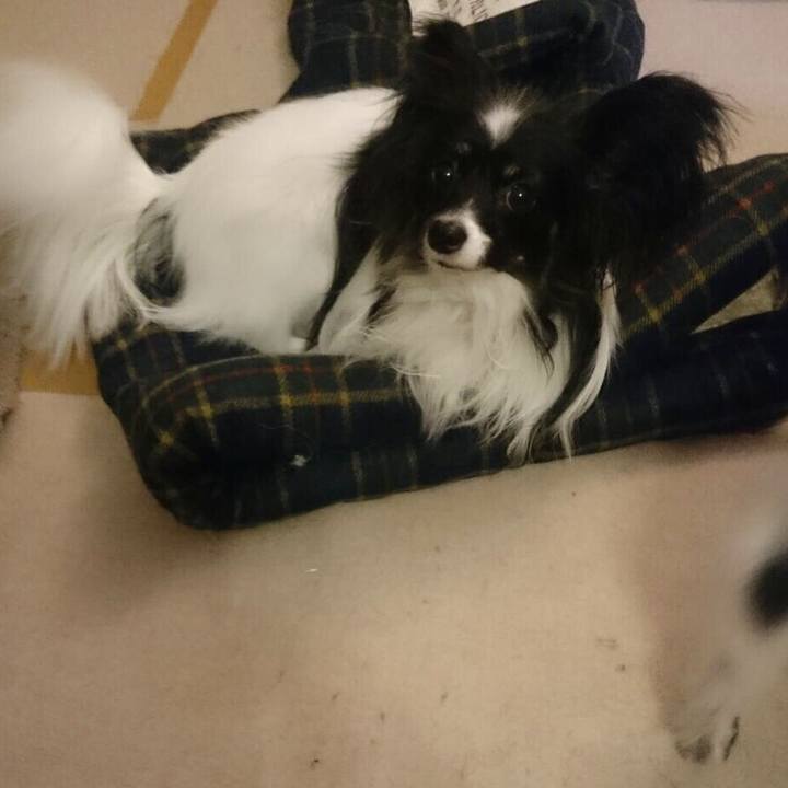 3bb823db 8b12 4da7 8df0 99e1f3c39870