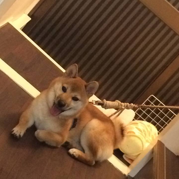 3bb83fbb ce55 45b6 a62f 191bdaff0fb1