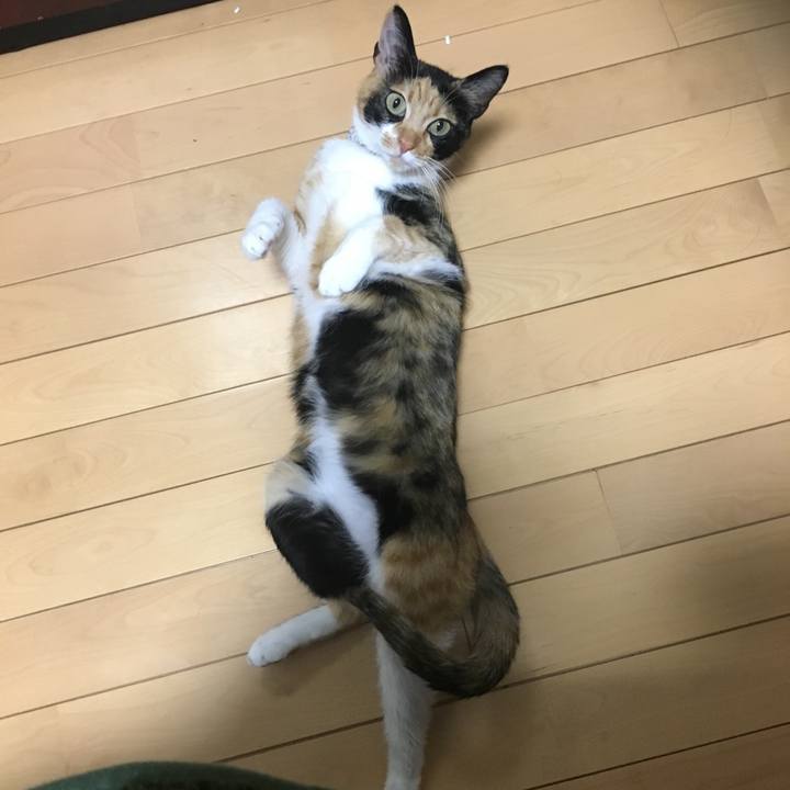 3bb8be2c 2141 4a78 b352 6f1501f840d0