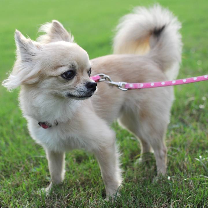 3bb8e090 7cee 49e6 bbe3 61d511e9cc00