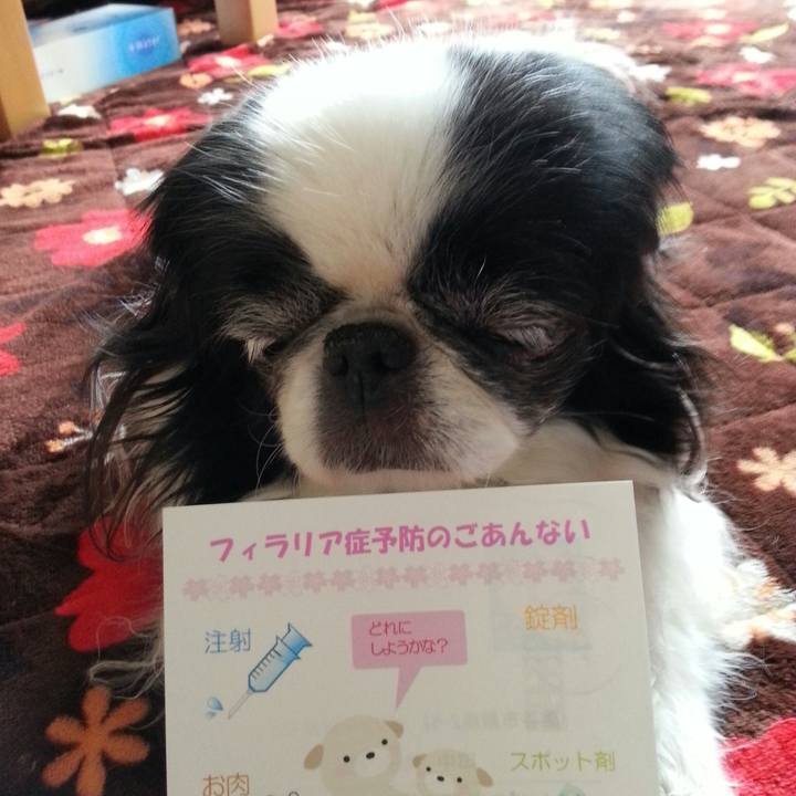 3bb9ff1d 10f4 412d 98f6 593ae6758c74