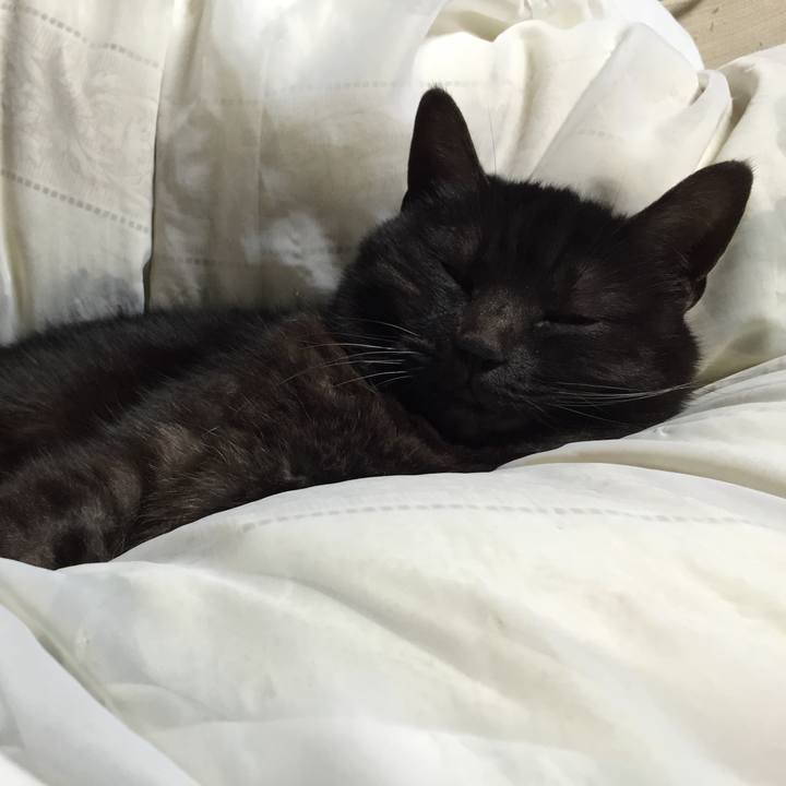 3bba35ff 4aad 44eb 9238 965a2a83d3b3