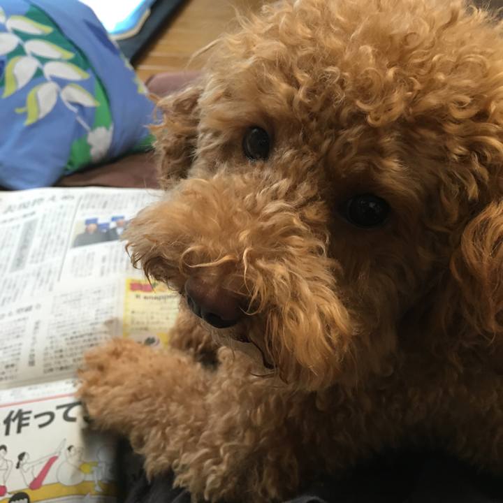 3bbac396 b8ea 4109 96e1 62718ff8eaaf