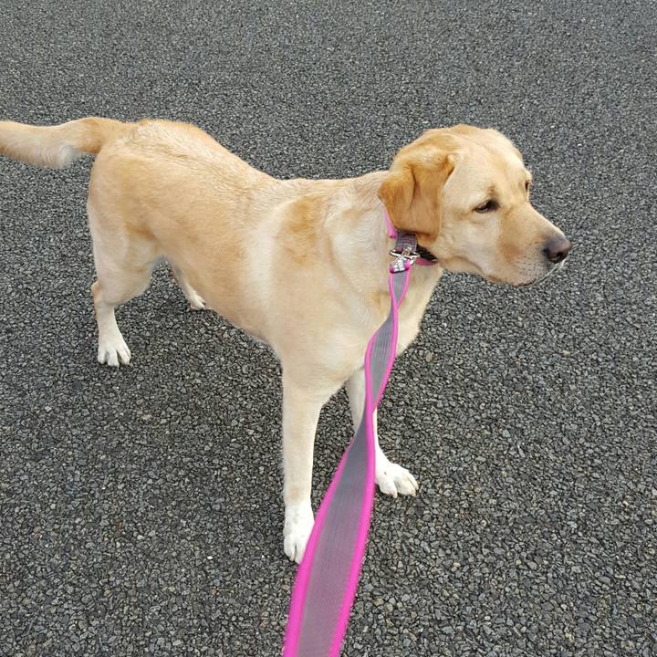 3bbace17 dd17 4af5 991c fdfd22b733c3