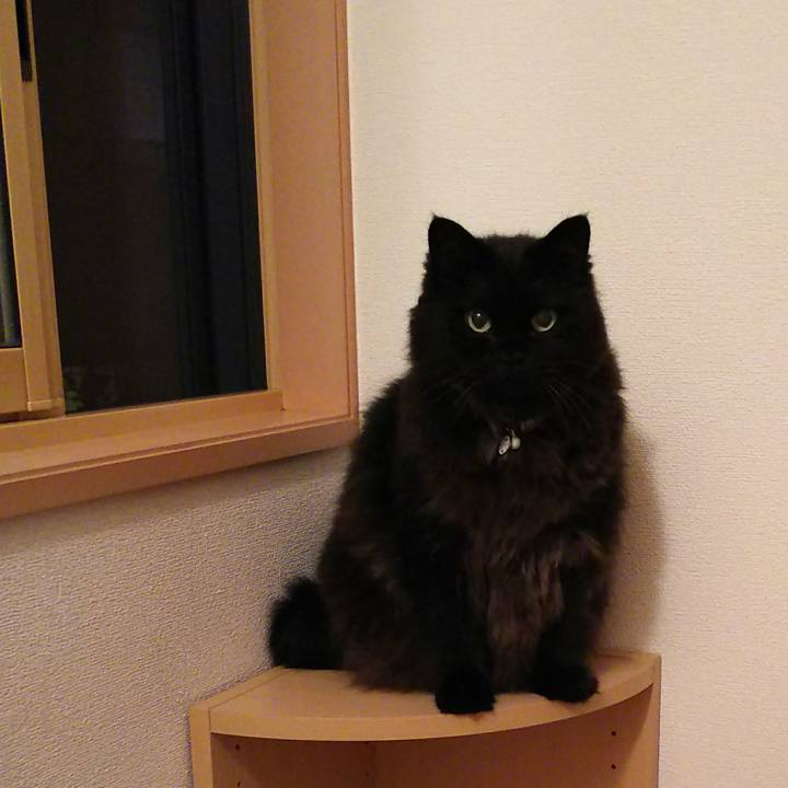 3bbb2dc5 a2f3 410d ba47 ca2fd26df35e