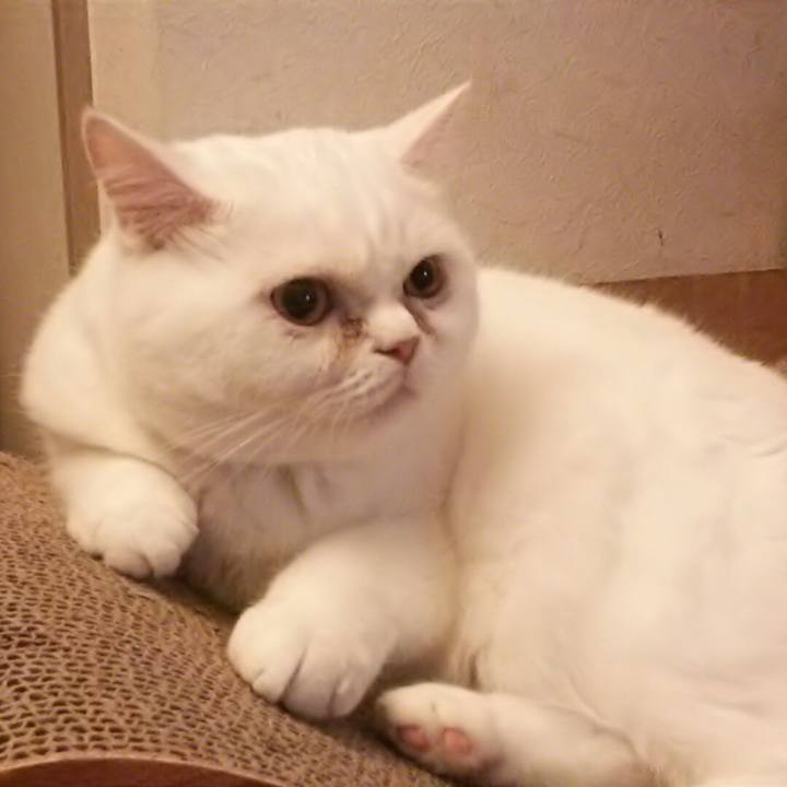 3bbb617e 079c 4544 b381 29cffa326a88