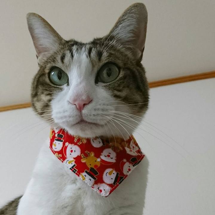 3bbb7305 39b1 4ef1 af7d 67bbac3e4608