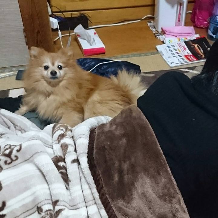 3bbbd242 6a93 4641 ae5e e1de7810a7f3