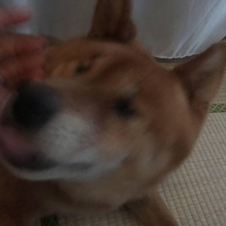 3bbbd83c e3d8 4585 bdd7 399310088c9a