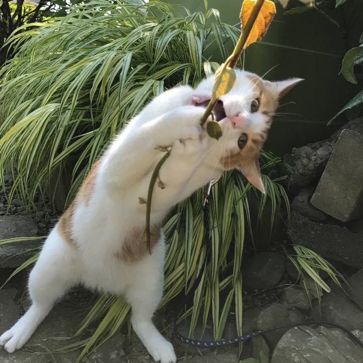 3bbbee2e ee05 4da4 9396 d711ec0fd77f