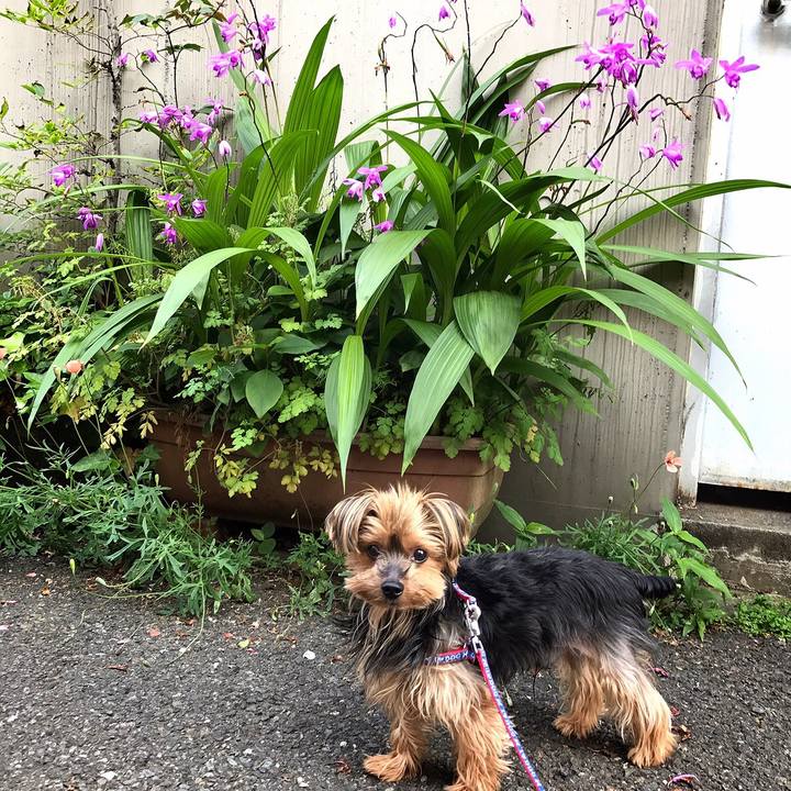 3bbc0a84 f9d4 43d8 aa56 8b2f6525f007