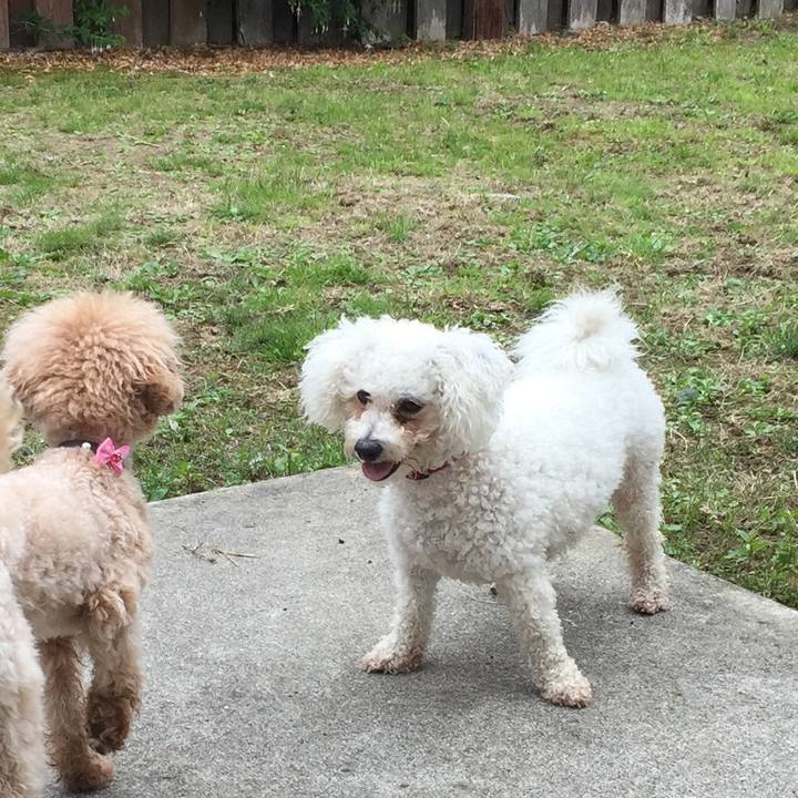 3bbc4d92 9fa1 4711 9954 10b1fc6829fe