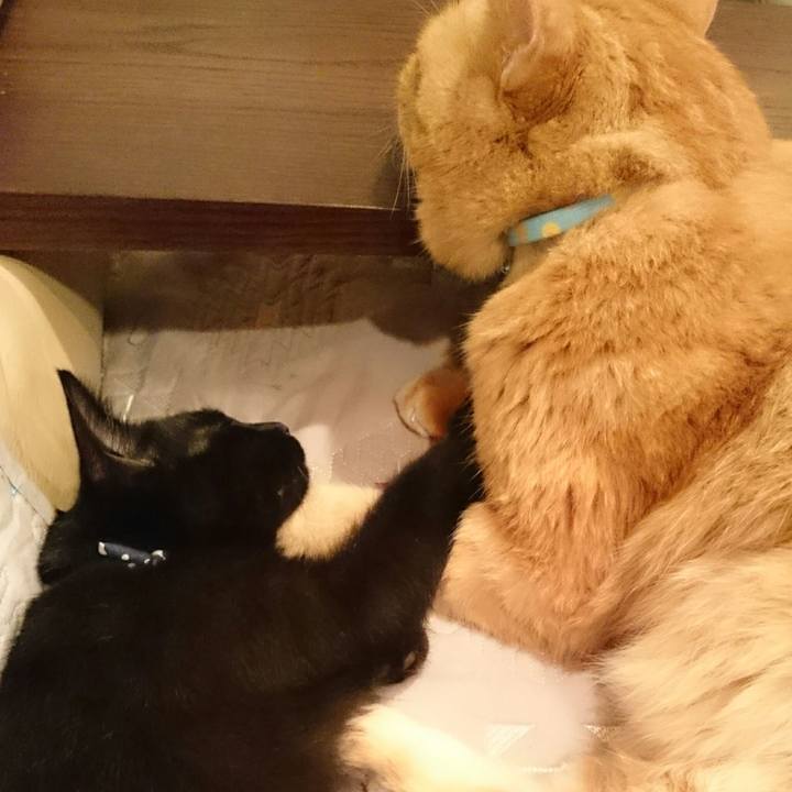 3bbc6248 0de0 4bd9 8ad7 a77045b7e89a