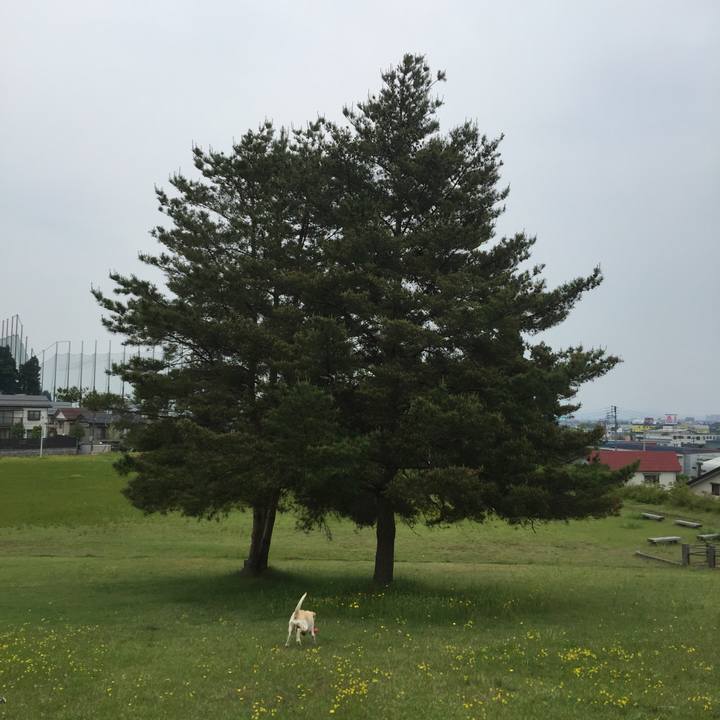 3bbc95cc 2284 4824 b377 e45540e036ce