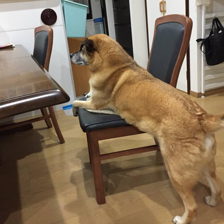 3bbcf048 9dfb 4586 9ce1 2b8f576ad179