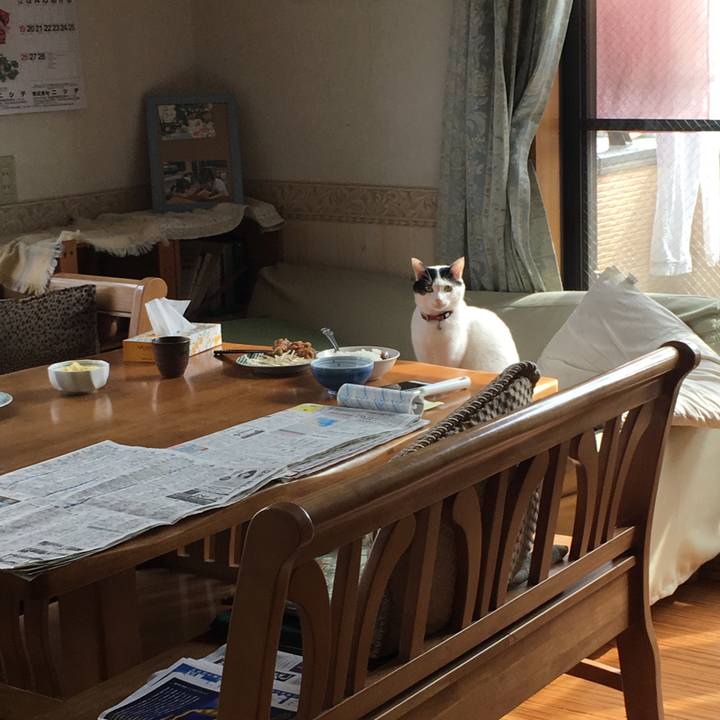 3bbcfbfe 57bf 4fcc bd37 67cf288137d5