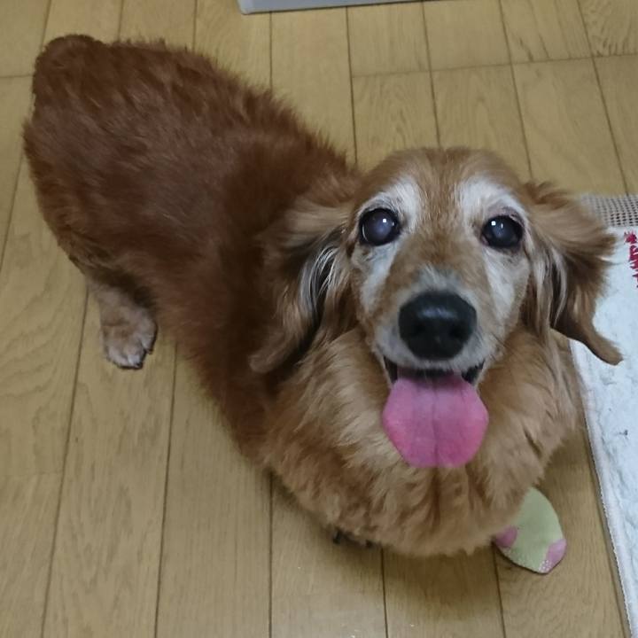 3bbd3334 1180 4ef5 8f5e 68f4c6e1dec7