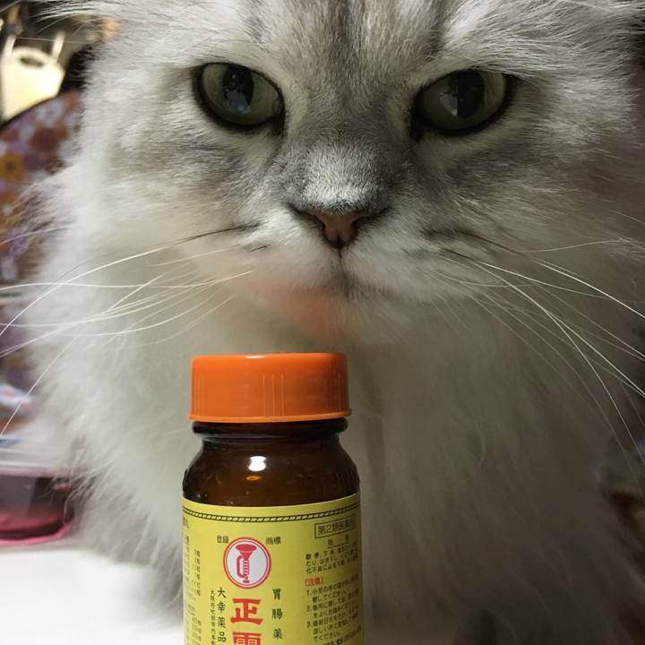 3bbdc294 33b2 4561 ab4e 8a49474527e3