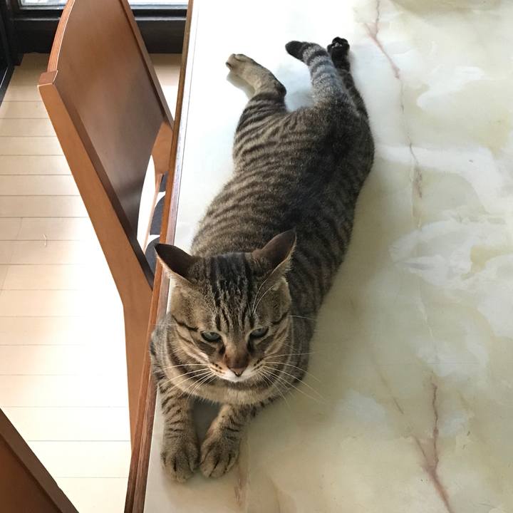 3bbe5e99 4d24 4e5e 9a49 f8a35ac86032