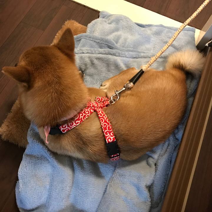 3bbec1b2 e152 43e9 83d1 3718ba84b9d8