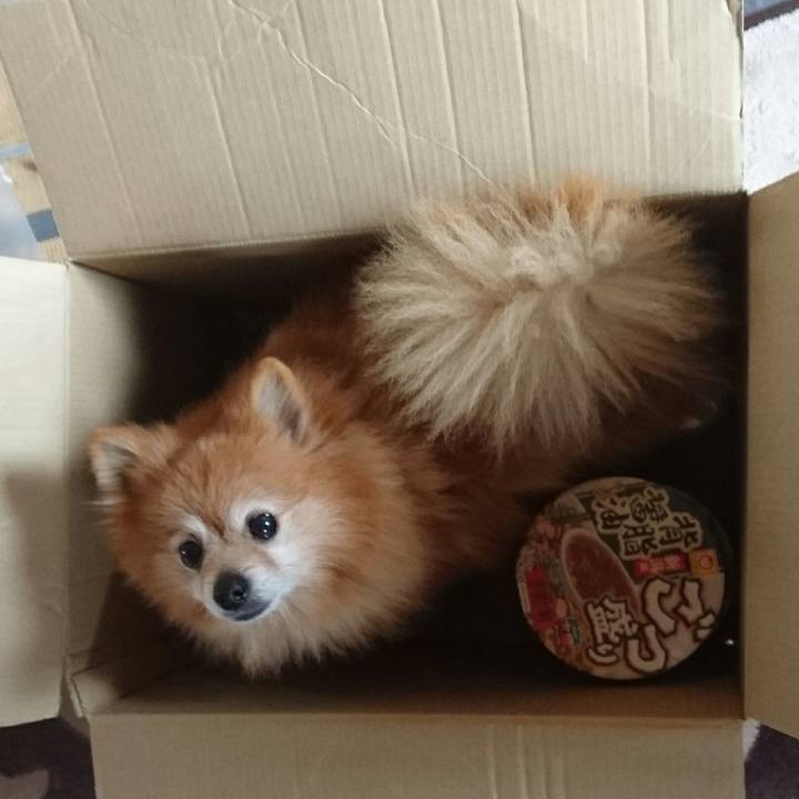 3bbecffa 025b 45f5 9bd5 0ddd060dd456