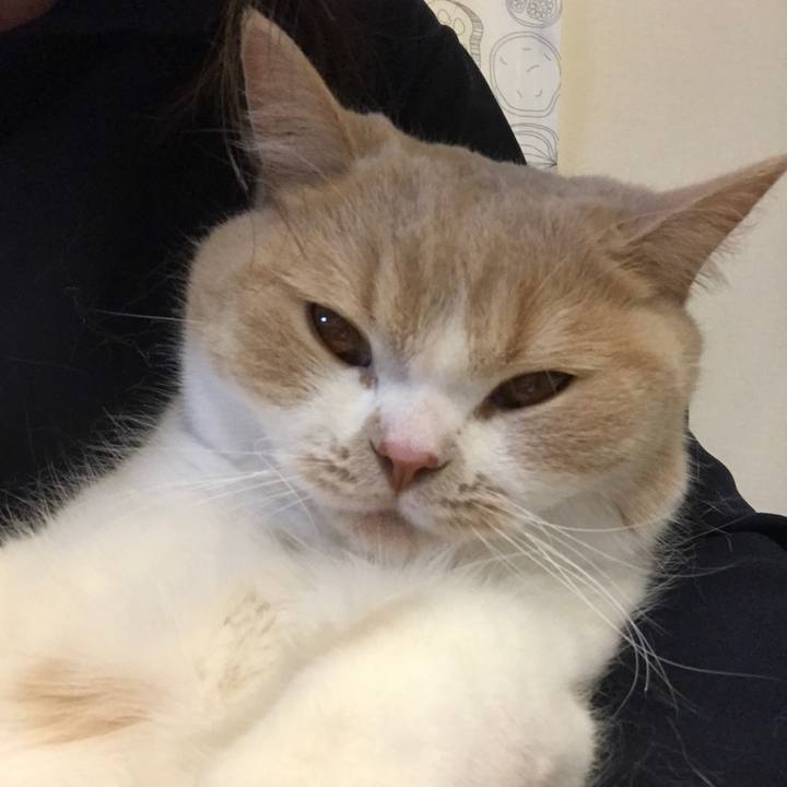 3bbf13e6 148c 4aed a918 064964c64302