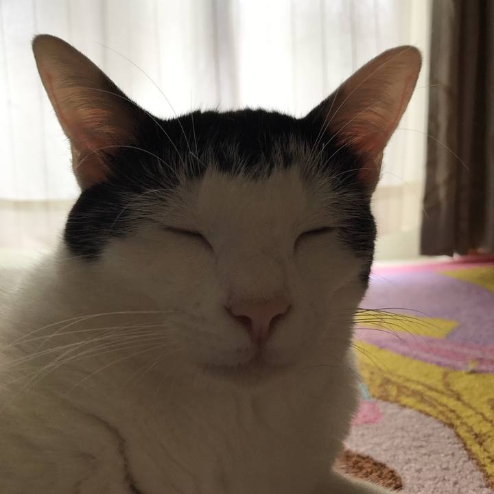 3bbfdfab 8dfa 4f02 8f0f ef50cefa7c7b