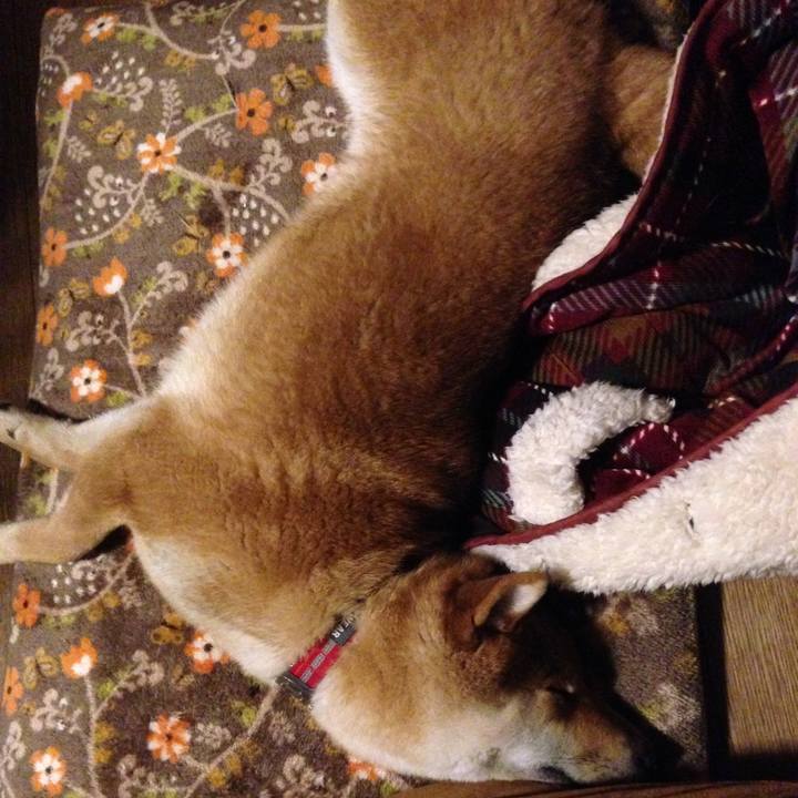 3bbff248 7401 488d 94b7 90d1a1ede770