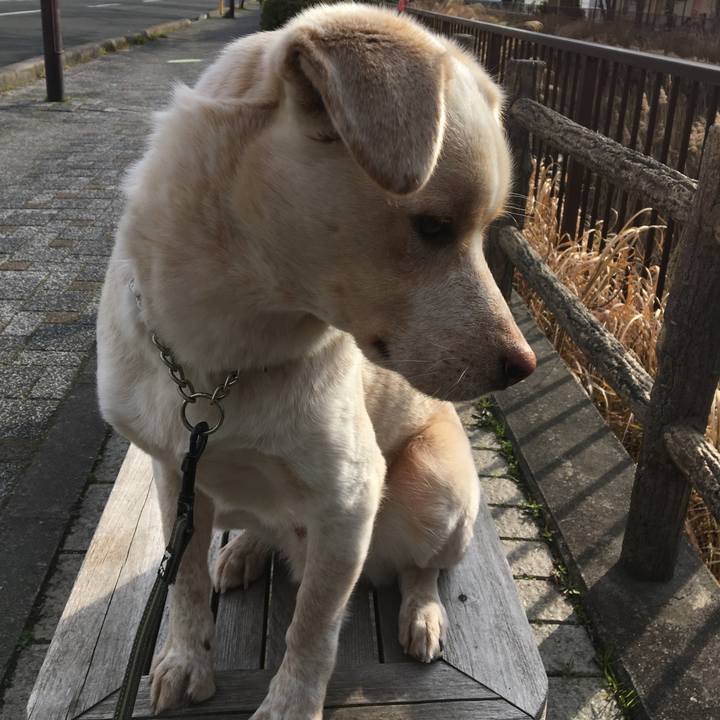 3bc0d2bd c469 48e9 a61e 95c1a73cd367