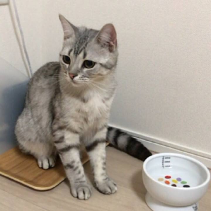 3bc1ae05 a50a 4326 ba0e 82c9af699a8c