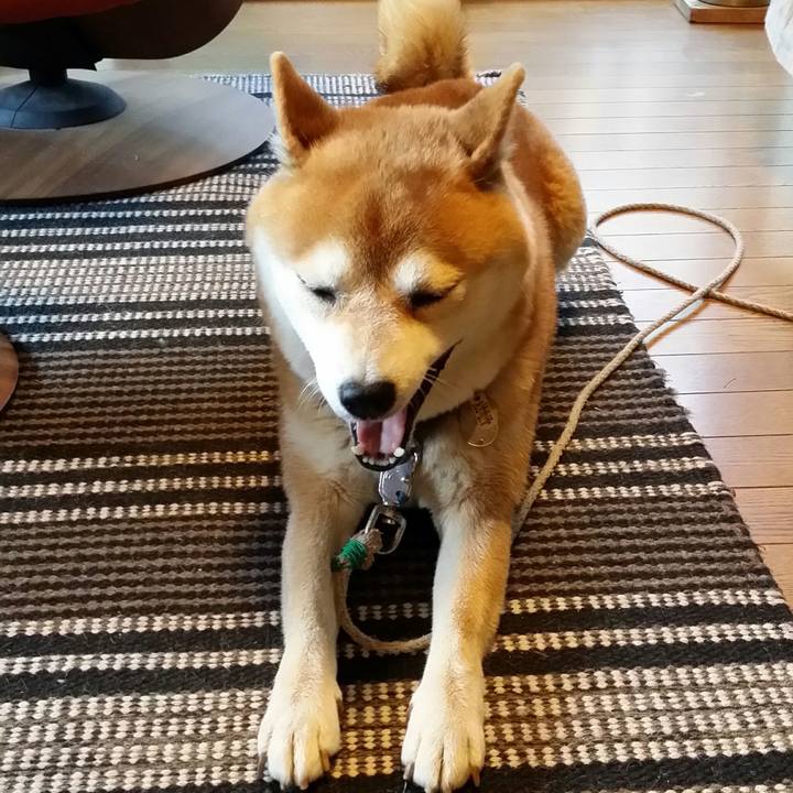 3bc21330 5ed0 4417 95ca 52a36c398030