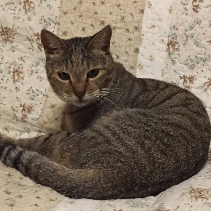 3bc25d93 7528 4fd1 9f05 b00f140d1a51