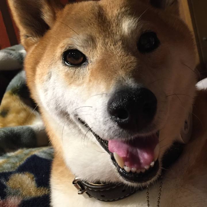 3bc271ea db1d 45f0 849b dc605439d3cf