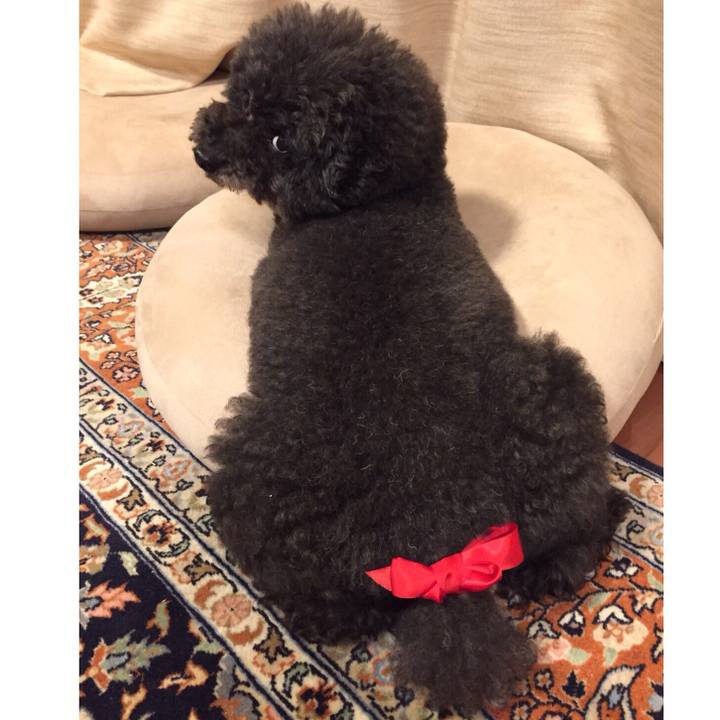 3bc2973c fa91 4ec8 98bb 0179e748f02d