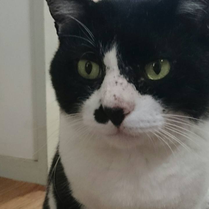 3bc3032f aa84 4feb a592 dc295626cb88