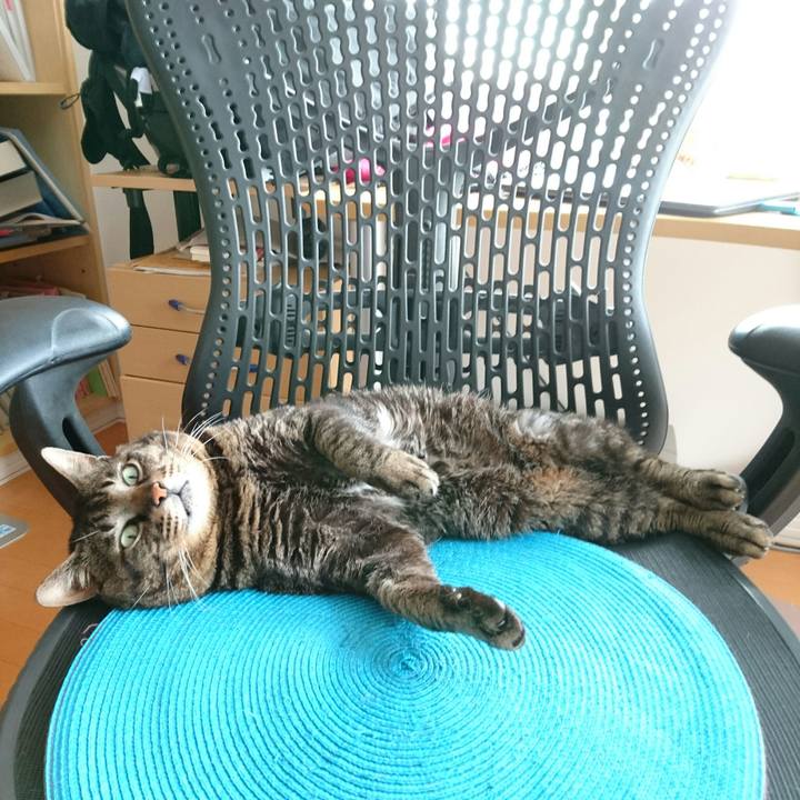 3bc33c6f 6f73 430e a12e 02941830b340